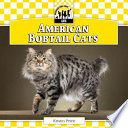 American Bobtail Cats cover