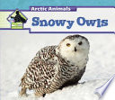 Snowy Owls cover