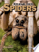 Spiders cover