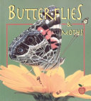 Butterflies and Moths cover