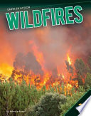 Wildfires cover