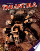 Tarantula cover