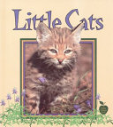 Little Cats cover