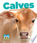Calves cover