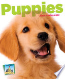 Puppies cover
