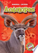 Antelopes cover
