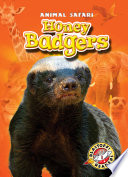 Honey Badgers cover