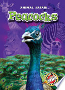 Peacocks cover