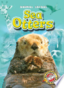 Sea Otters cover