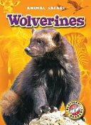 Wolverines cover