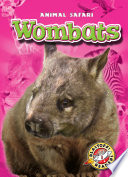Wombats cover