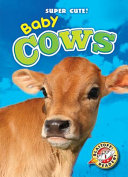 Baby Cows cover