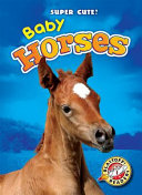 Baby Horses cover