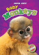 Baby Monkeys cover