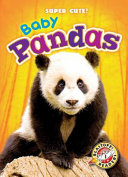 Baby Pandas cover