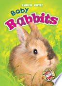 Baby Rabbits cover