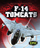 F-14 Tomcats cover