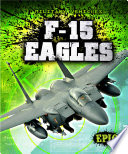 F-15 Eagles cover
