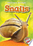 Snails cover