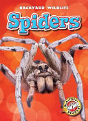 Spiders cover