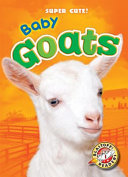 Baby Goats cover
