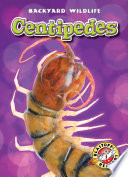 Centipedes cover