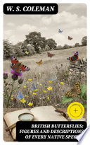 Butterflies cover