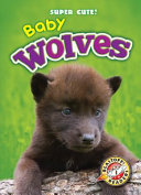 Baby Wolves cover