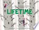 Lifetime: The Amazing Numbers in Animal Lives cover