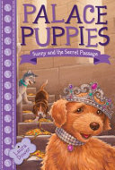 Sunny and the Secret Passage cover