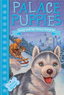 Sunny and the Snowy Surprise cover