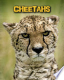 Cheetahs cover
