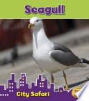 Seagull cover