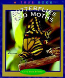 Butterflies and Moths cover