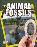Animal Fossils cover