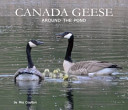 Canada Geese Around the Pond cover