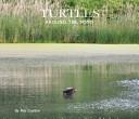 Turtles Around the Pond cover