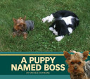 A Puppy Named Boss cover