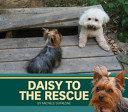 Daisy to the Rescue cover