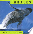 Whales cover