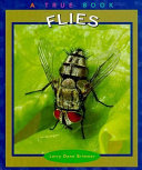 Flies cover