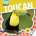 Being a Toucan cover