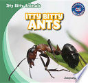 Itty Bitty Ants cover