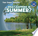 What Happens in Summer? cover
