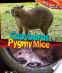 Capybaras and Pygmy Mice cover