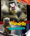 Mandrills and Marmosets cover