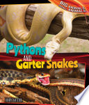 Pythons and Garter Snakes cover