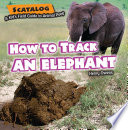 How to Track an Elephant cover
