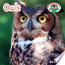 Owls cover