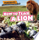 How to Track a Lion cover